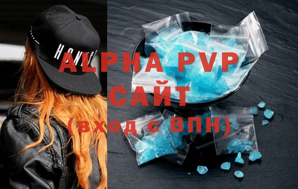 PSILOCYBIN Вязьма