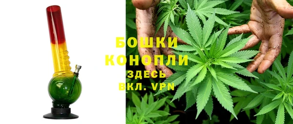ALPHA-PVP Вяземский