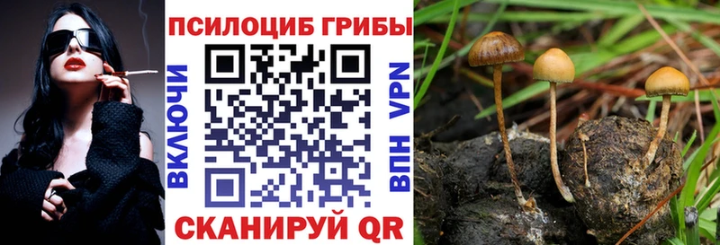 Галлюциногенные грибы мицелий  Елец 