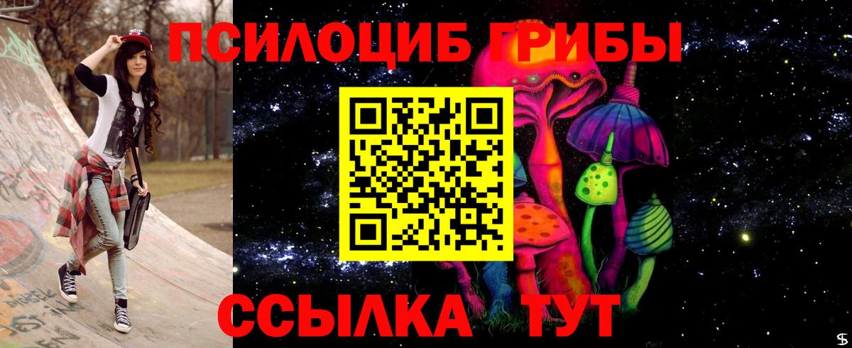 Галлюциногенные грибы Psilocybe  Вход с VPN  где найти наркотики  Галлюциногенные грибы GOLDEN TEACHER  Елец 